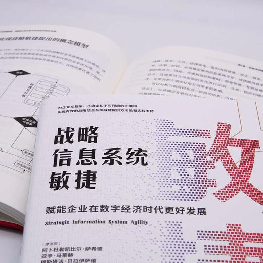 战略信息系统敏捷：赋能企业在数字经济时代更好发展（精装典藏版） 商品图5