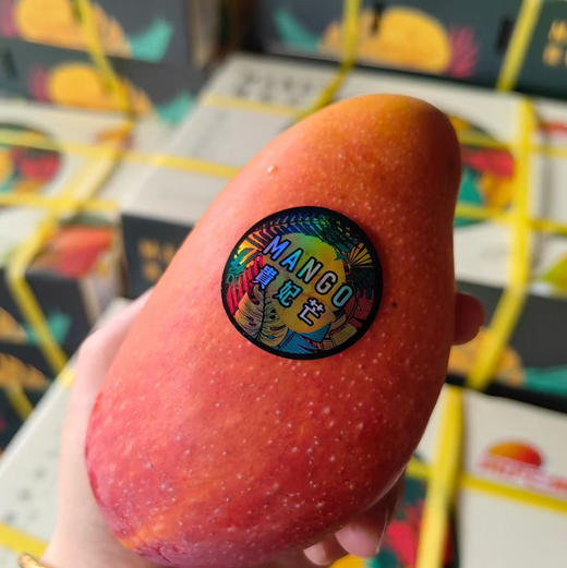 海南树上熟贵妃芒果 1箱约4斤装礼盒 皮薄核薄 多汁香甜 商品图7