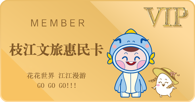 枝江文旅惠民卡