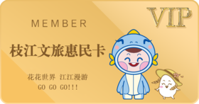 枝江文旅惠民卡