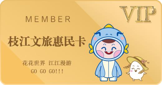 枝江市文旅惠民卡（新引进人才） 商品图0