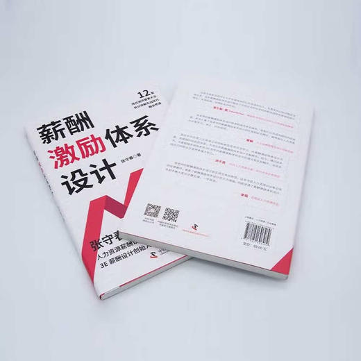 薪酬激励体系设计：手把手教你完成薪酬设计体系 商品图6