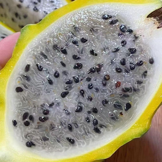 进口特级麒麟果 燕窝果 1箱5-6个 细腻水润，清冽爽口 商品图2