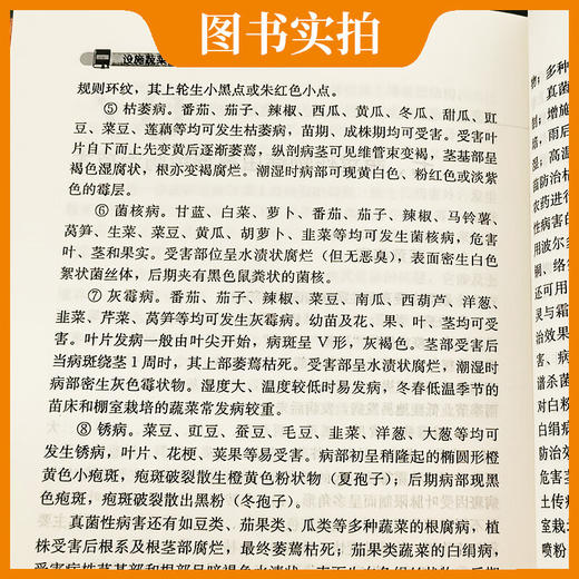 设施蔬菜生产关键技术一本通【官方正版，可开发票，下单时留开票信息和电子邮箱】 商品图4