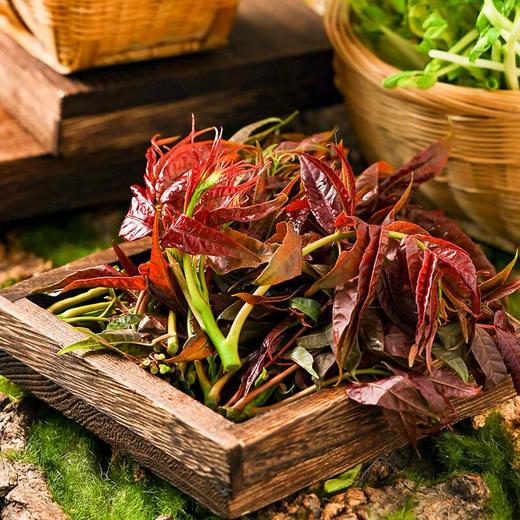 椿芽 约100g/盒 香椿 商品图0