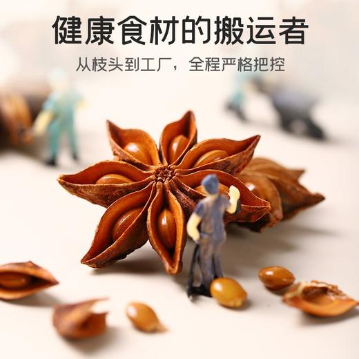 古福大料 50g 商品图1