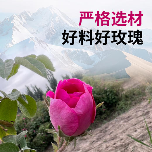 西域美农新疆和田玫瑰花 重瓣红玫瑰花 泡水70g 罐装 商品图0