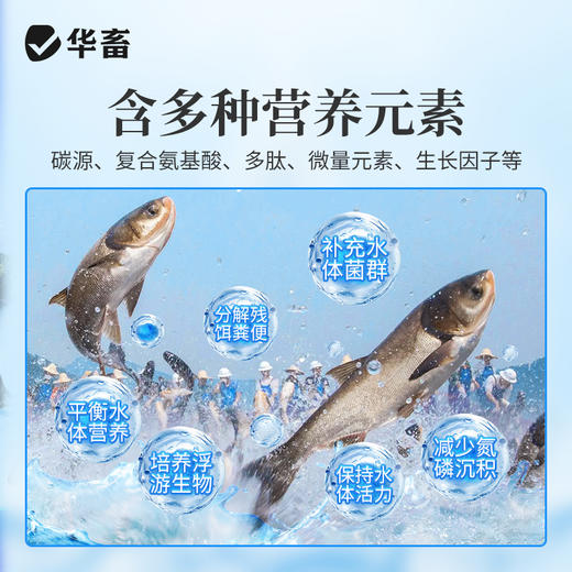 双效肽肥可肥水 可代替饲料 生物饵料 补充碳源 平衡藻相 肥水肥鱼 商品图1