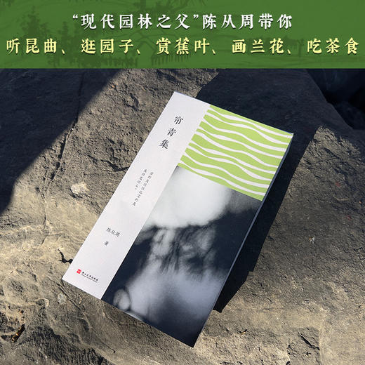 帘青集（陈从周作品精选）|一部浓缩的“生活趣味集锦” 商品图1