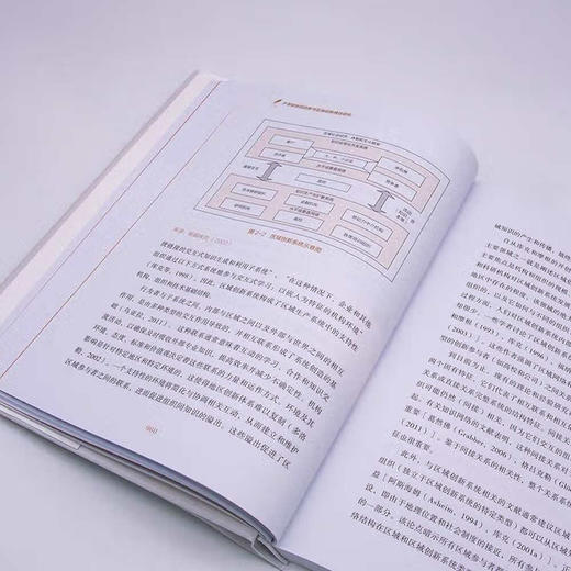 产学研协同创新与区域创新绩效研究  “十四五”时期国家重点出版物出版专项规划项目（精装典藏版） 商品图6