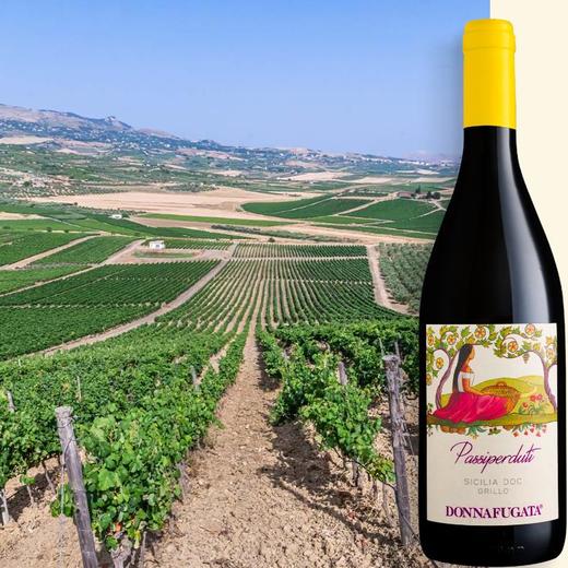 多娜佳塔迷野仙踪白葡萄酒 Donnafugata Passi Perduti Grillo 商品图1