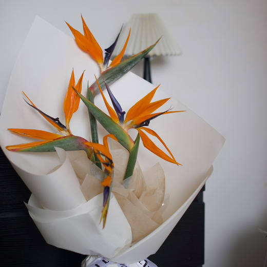 《展翅高飞》鹤望兰天堂鸟花束 商品图1