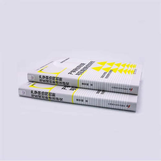 产学研协同创新与区域创新绩效研究  “十四五”时期国家重点出版物出版专项规划项目（精装典藏版） 商品图3