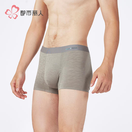 都市丽人铂金舒适莫代尔平角60S莫代尔提花平角裤FKHH07 商品图2