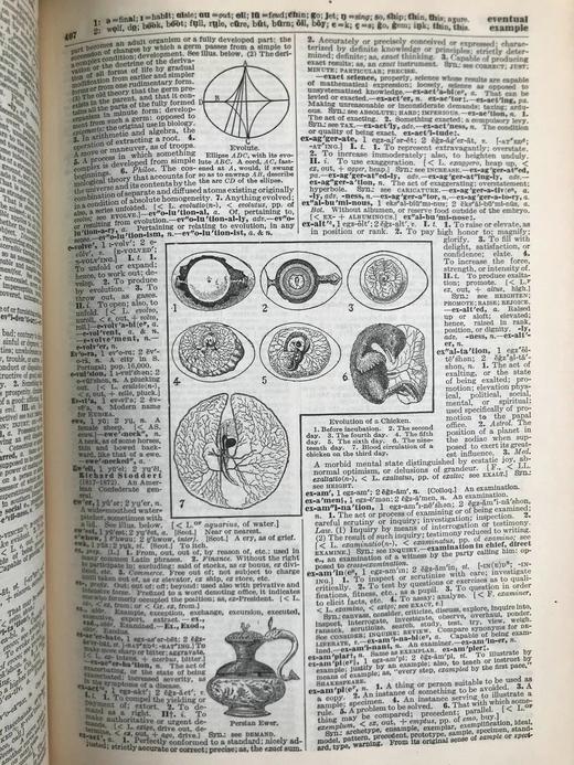 1928年 实用标准英语大词典 2500幅插图 全真皮精装16开 商品图8