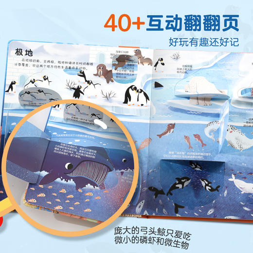 【青葫芦】青葫芦3D立体翻翻书：海洋 商品图4