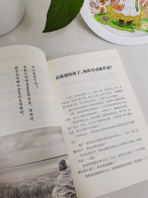 觉察孩子的焦虑危机 商品图3