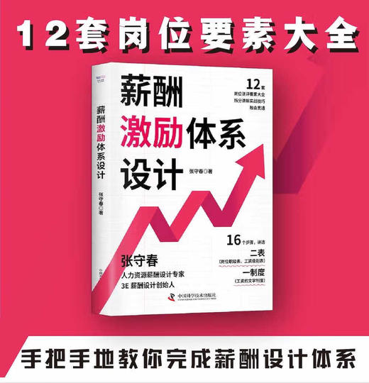 薪酬激励体系设计：手把手教你完成薪酬设计体系 商品图0