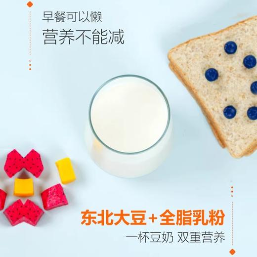 维维 维他型豆奶粉 460g/袋 商品图2