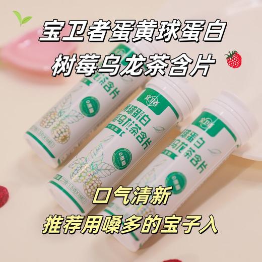 【蛋黄球蛋白树莓乌龙茶含片】十种草本加蛋黄球蛋白 清新口气【AA】 商品图0
