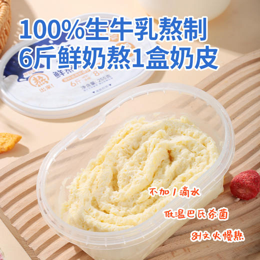 西域美农 欧若姆鲜熬奶皮子 配小勺开盖即食 顺丰/京东空运 商品图1