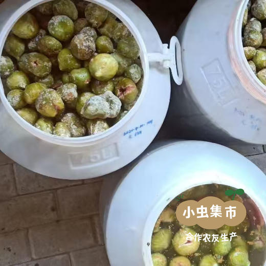 生态青皮无花果干 86g /罐 | 合作农友生产，产自山东威海，生产者：刘树杰 ＆【公平贸易农人定价】 商品图12