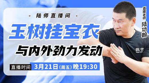 【3月21日】玉树挂宝衣与内外劲力发动 商品图0