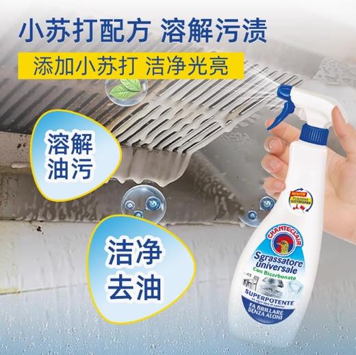 CHANTECLAIR 大公鸡管家小苏打光亮油污净（600ml） 商品图4