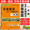 设施蔬菜生产关键技术一本通【官方正版，可开发票，下单时留开票信息和电子邮箱】 商品缩略图0