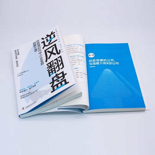 逆风翻盘:后疫情时代中小企业的自救之道 商品图4