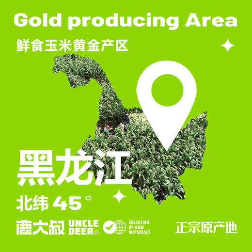 【鹿大叔东北有机糯玉米】双有机认证东北糯玉米2.5kg（10支） 健康粗粮低脂饱腹 商品图7