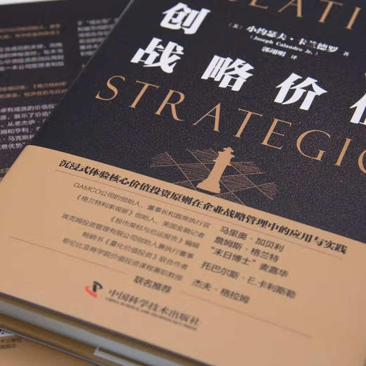 创造战略价值 商品图2