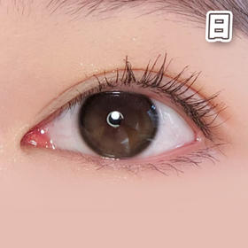 #日常亮棕 棕黑色 14.2mm【10片装】 国产精品 / 日抛