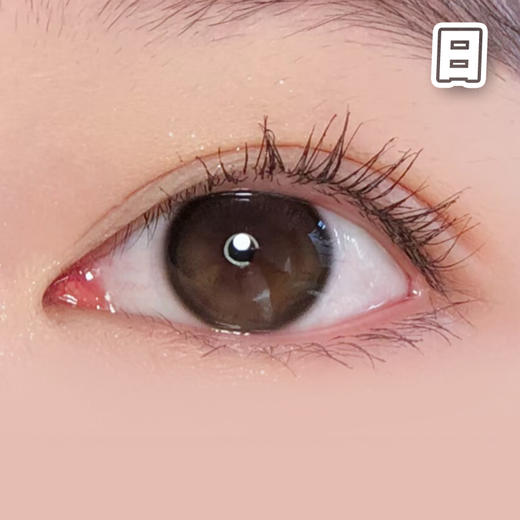 #日常亮棕 棕黑色 14.2mm【10片装】 国产精品 / 日抛 商品图0