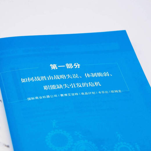 V字形复苏（企业危机管理之道） 商品图6