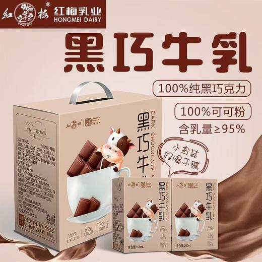 【红梅乳业】黑巧牛乳200ml*12 商品图0