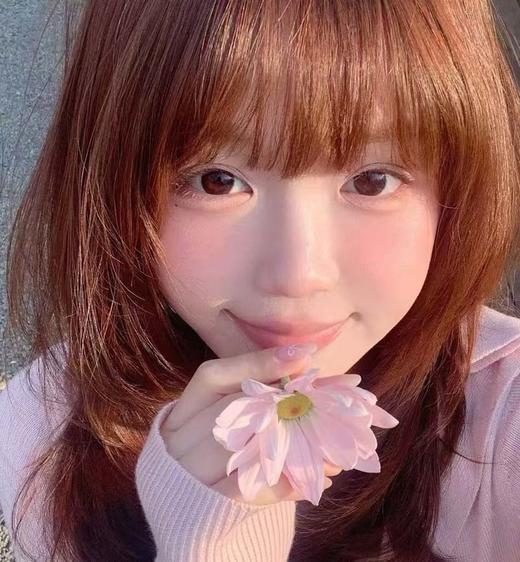 Fairycon 半年抛  超嗲台妹 直径14.5mm着色13.7mm 商品图0