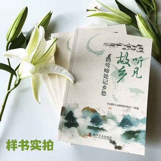 听见故乡：鹮莺啼处记乡愁 商品图2