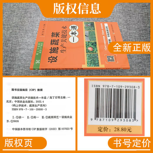 设施蔬菜生产关键技术一本通【官方正版，可开发票，下单时留开票信息和电子邮箱】 商品图2