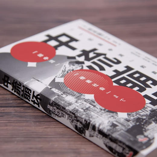 中流崩坏：探寻日本中产的分化与跌落困境 商品图6