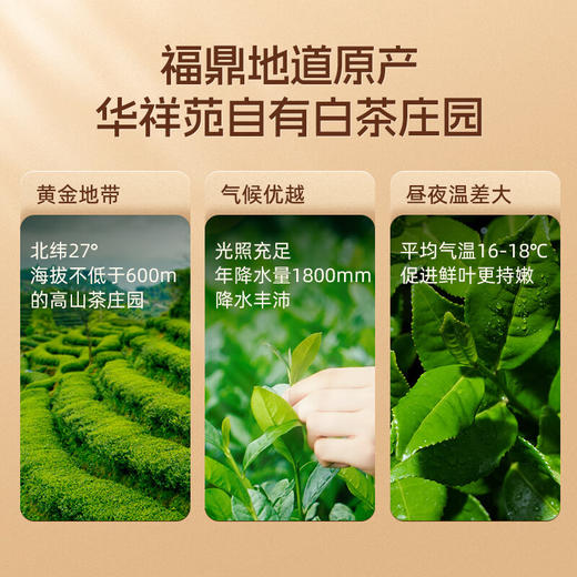 华祥苑茶叶 老白茶福鼎寿眉300g 3年陈饼茶礼盒装 商品图4