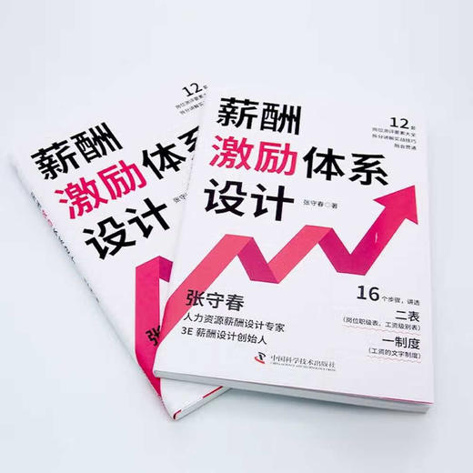 薪酬激励体系设计：手把手教你完成薪酬设计体系 商品图2