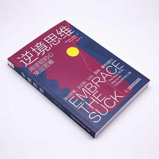 逆境思维：用真实故事分析如何思考才能闯出逆境 商品图2