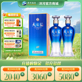 洋河 天之蓝 21版本 42度 480mL 浓香型白酒