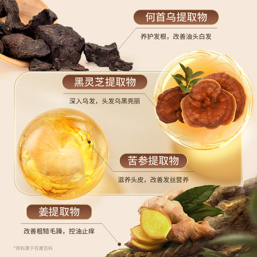 康迪生黑灵芝何首乌发根洗发露洗头膏男女官方品牌旗舰店正品fino 商品图3