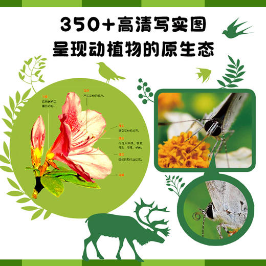 大自然，为什么？ 商品图2