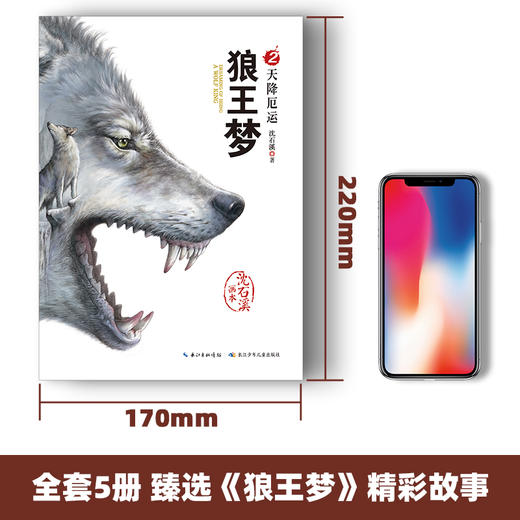 狼王梦（全5册）小学生必读推荐 商品图4