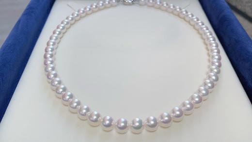 7mm-8mm akoya项链 商品图0