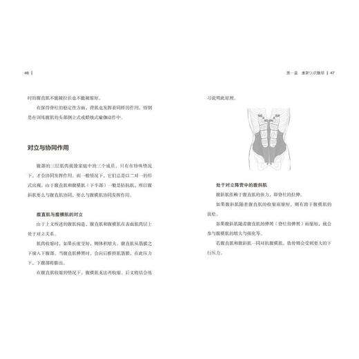 减腹力 商品图4