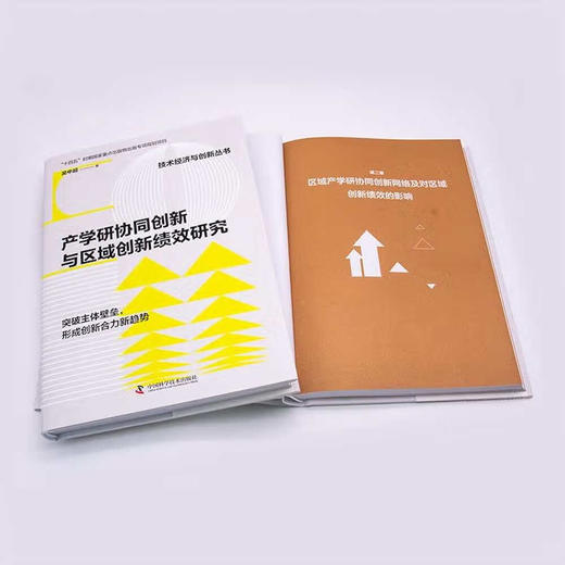 产学研协同创新与区域创新绩效研究  “十四五”时期国家重点出版物出版专项规划项目（精装典藏版） 商品图5
